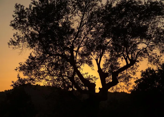 Villa The Gunnery House *