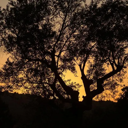 Villa The Gunnery House *